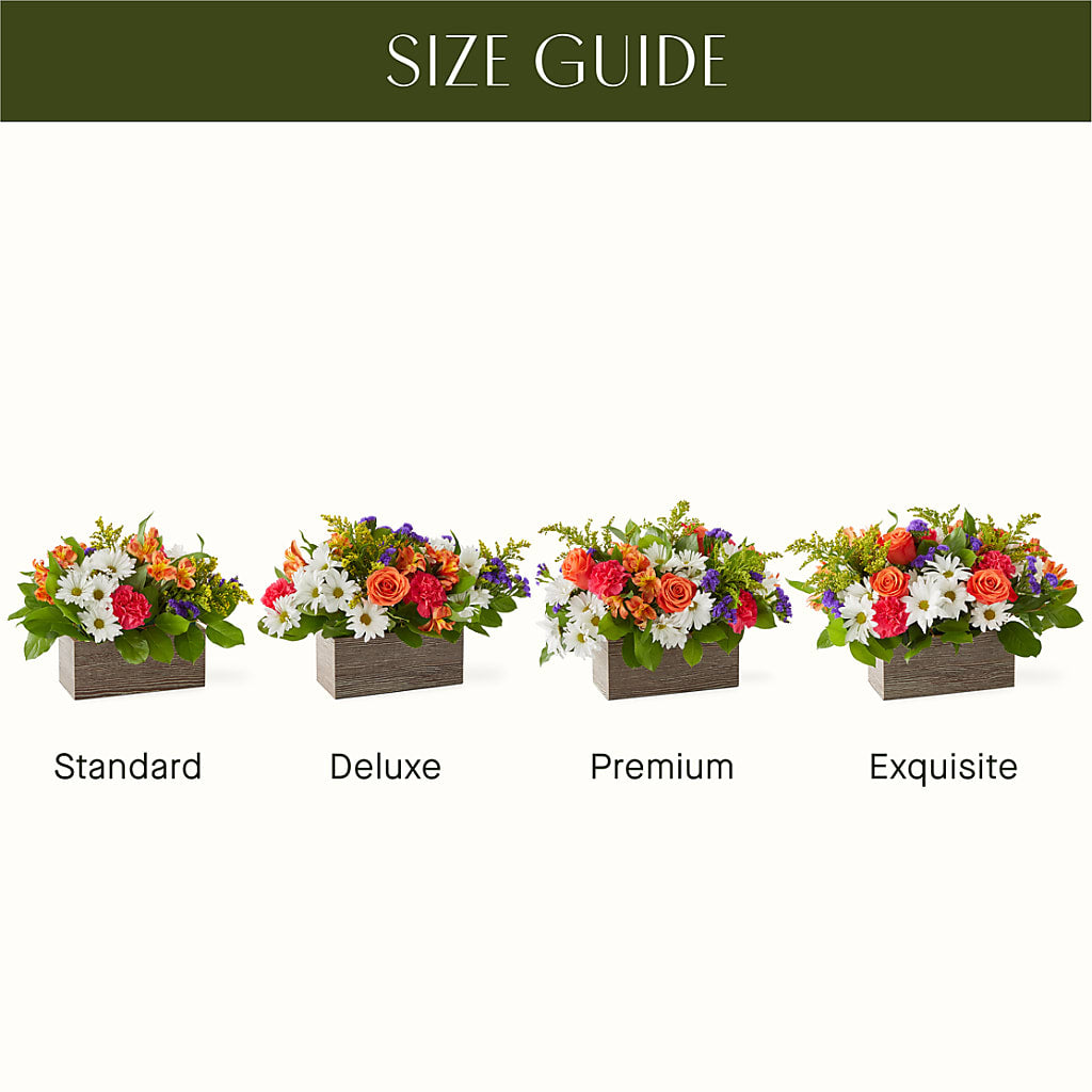 Oopsie Daisy Box Bouquet – Indio Florist, Indio CA