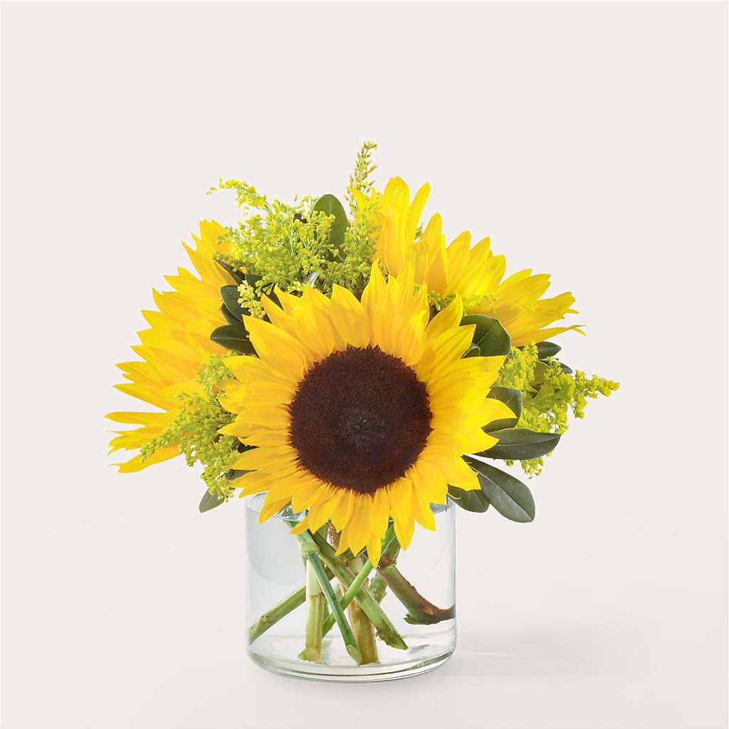 Beaming Sunflower Bouquet – Indio Florist, Indio CA