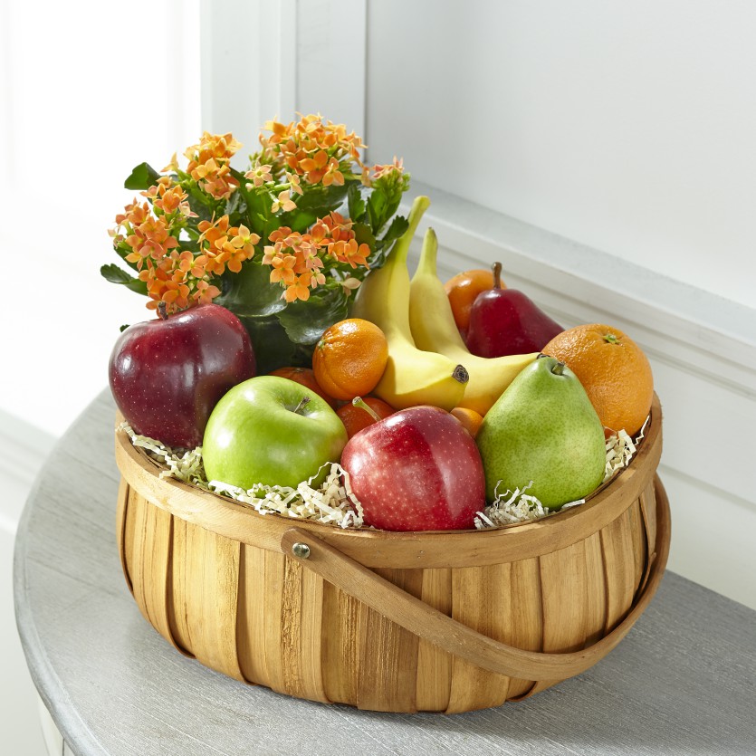 Plant and Fruit Basket