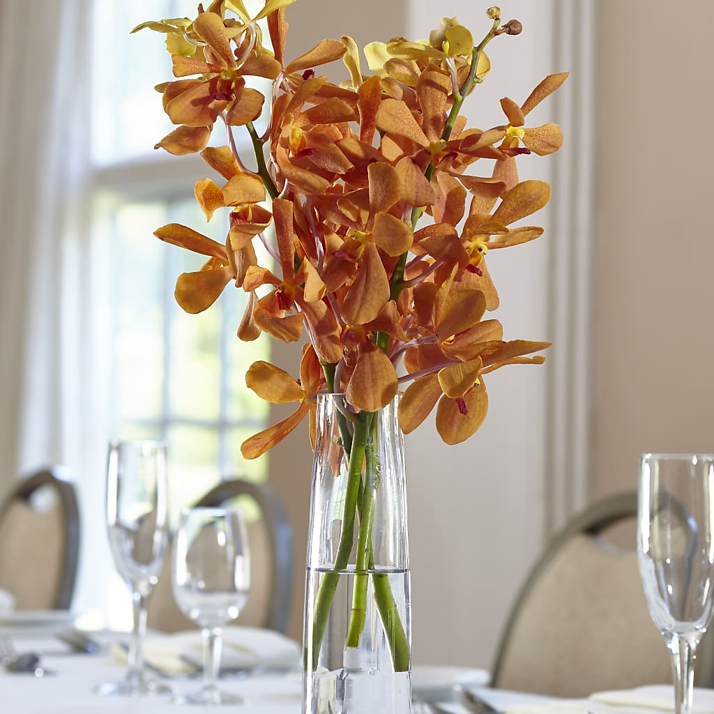 Orange Mokara Bud Vase – Indio Florist, Indio CA