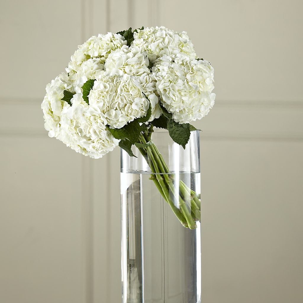 White Hydrangea Hand-Tied Bouquet – Indio Florist, Indio CA