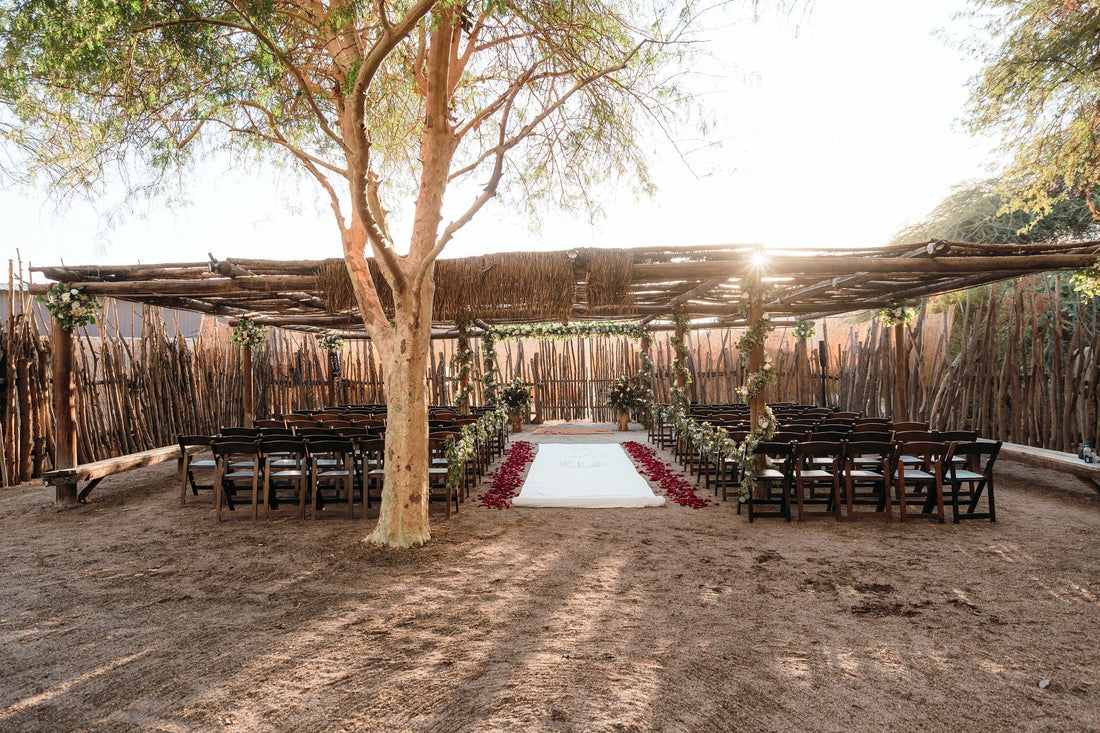 Greenwald Wedding 2025