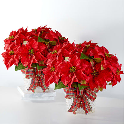 Happiest Holidays Poinsettia Bundle –  Indio Florist, Indio CA