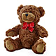 Adorable Plush Bear –  Indio Florist, Indio CA