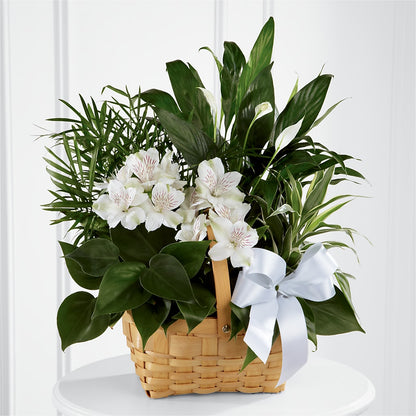 Peace & Serenity Dishgarden –  Indio Florist, Indio CA