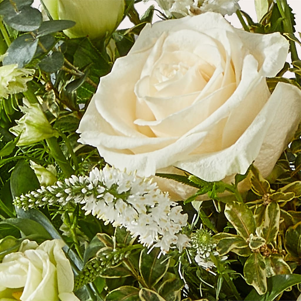 Cashmere Bouquet –  Indio Florist, Indio CA