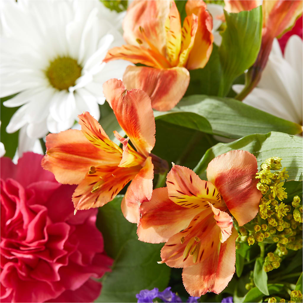 Oopsie Daisy Box Bouquet –  Indio Florist, Indio CA