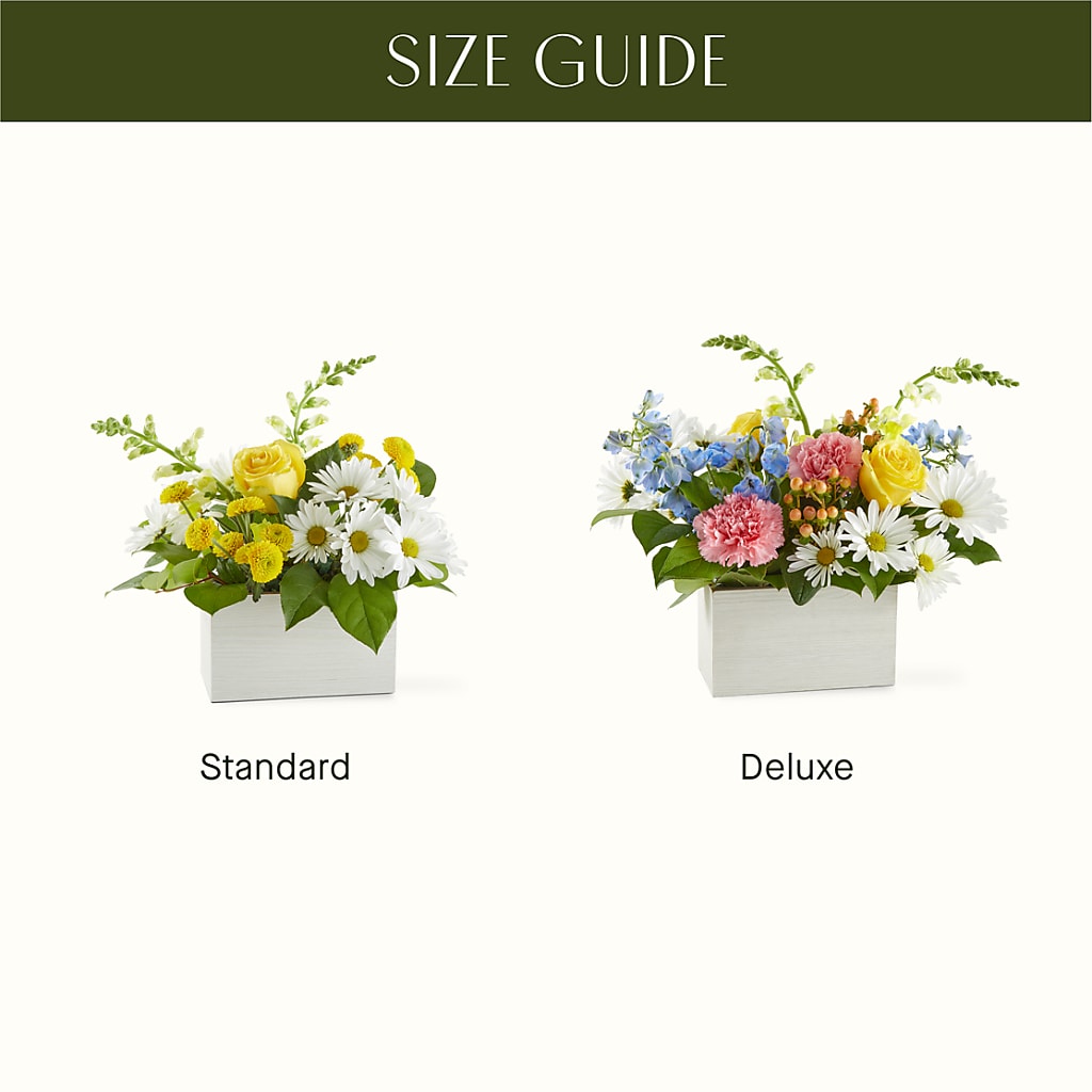 Sun Salutation Box Bouquet –  Indio Florist, Indio CA