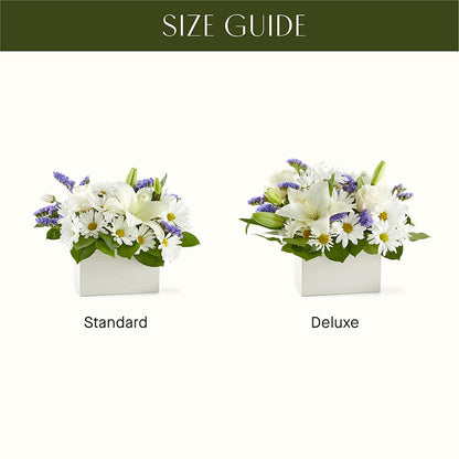 Beyond Blue Box Bouquet –  Indio Florist, Indio CA