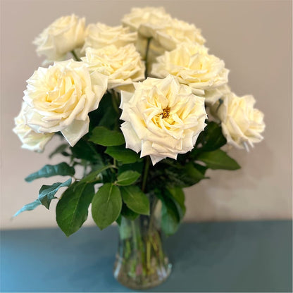 Long Stem Yellow Rose Bouquet –  Indio Florist, Indio CA