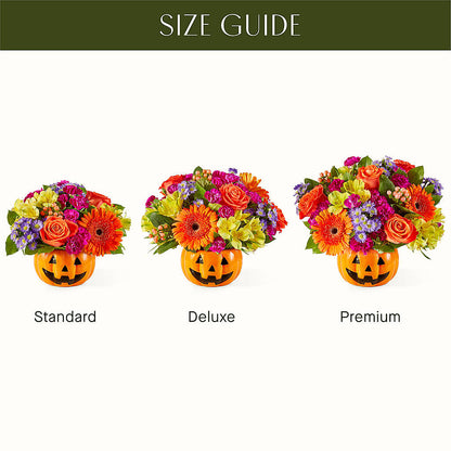 Tricks & Treats Pumpkin –  Indio Florist, Indio CA