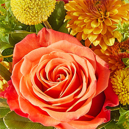 Gourdgeous Pumpkin –  Indio Florist, Indio CA