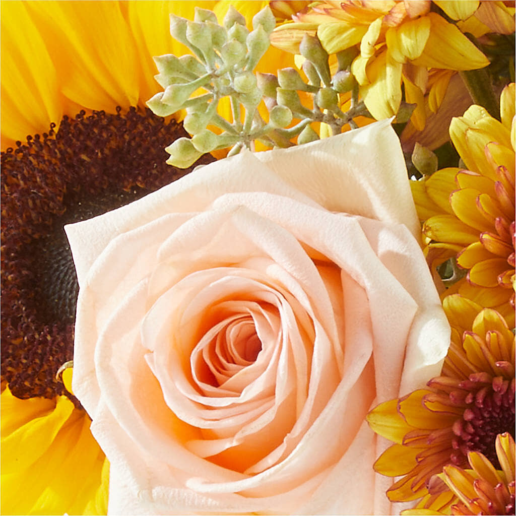 Pumpkin to Talk About Bouquet –  Indio Florist, Indio CA