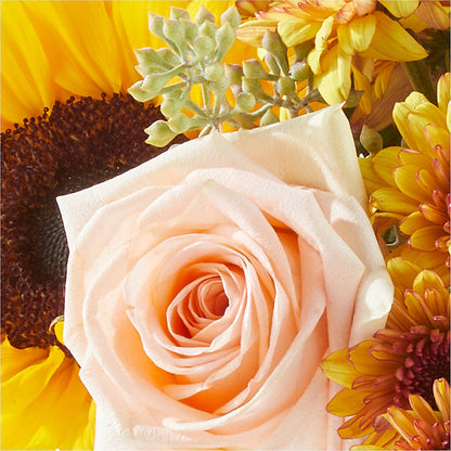 Pumpkin to Talk About Bouquet –  Indio Florist, Indio CA