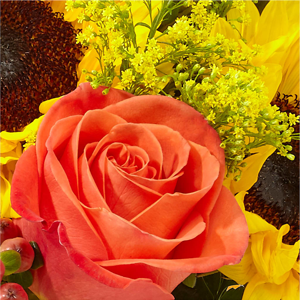 Pick of the Patch Pumpkin Bouquet –  Indio Florist, Indio CA