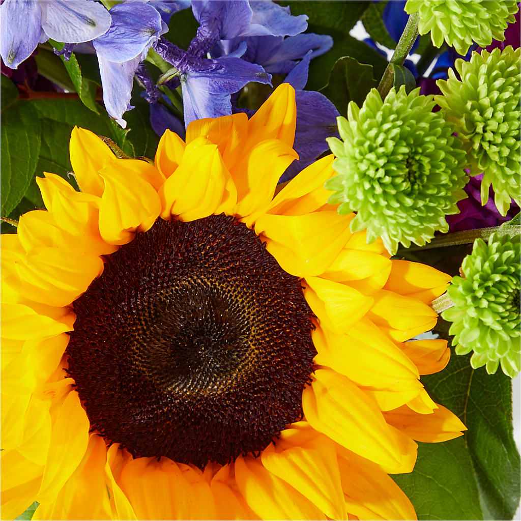 Catching Rays Bouquet –  Indio Florist, Indio CA