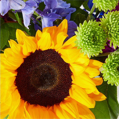 Catching Rays Bouquet –  Indio Florist, Indio CA
