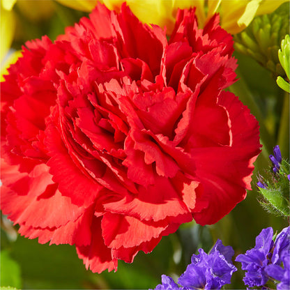 Brighter Days Bouquet –  Indio Florist, Indio CA