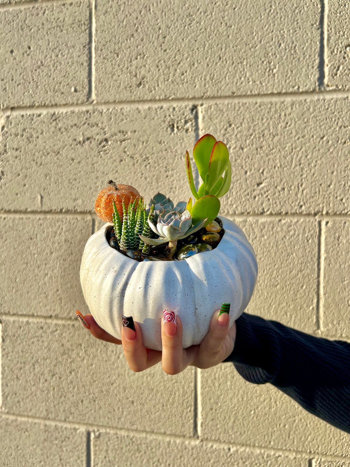 Succulent Pumpkin –  Indio Florist, Indio CA