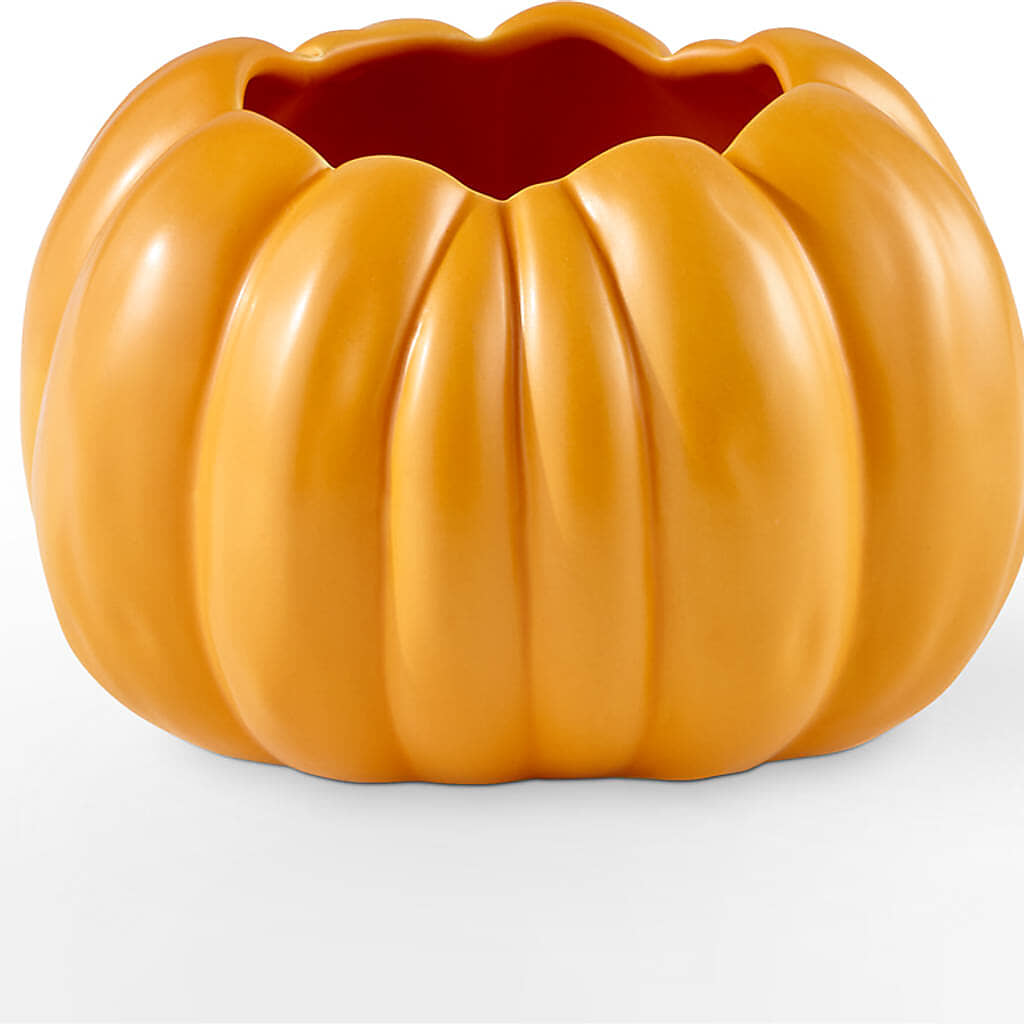 Golden Gourd Pumpkin Bouquet –  Indio Florist, Indio CA