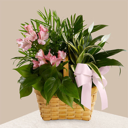 Living Spirit Dishgarden –  Indio Florist, Indio CA