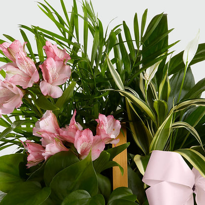 Living Spirit Dishgarden –  Indio Florist, Indio CA