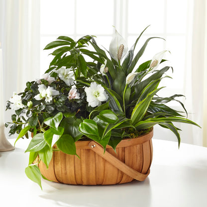 The FTD® Serene™ Dishgarden –  Indio Florist, Indio CA