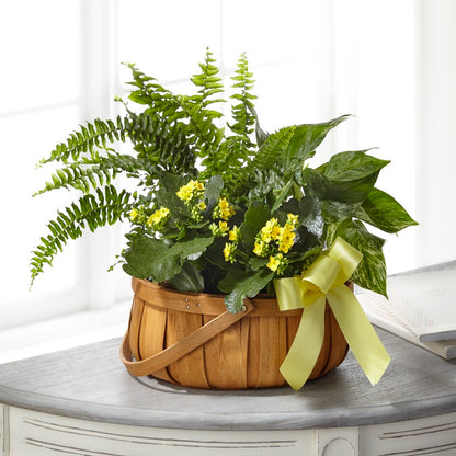 The FTD® Always Dear™ Dishgarden –  Indio Florist, Indio CA