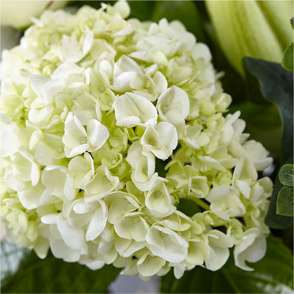 Classic Ivory – A Florist Original –  Indio Florist, Indio CA