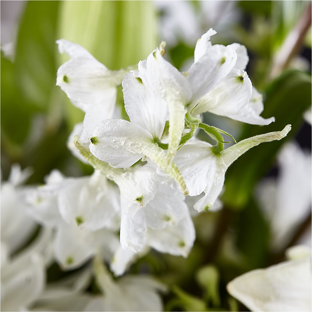 Classic Ivory – A Florist Original –  Indio Florist, Indio CA