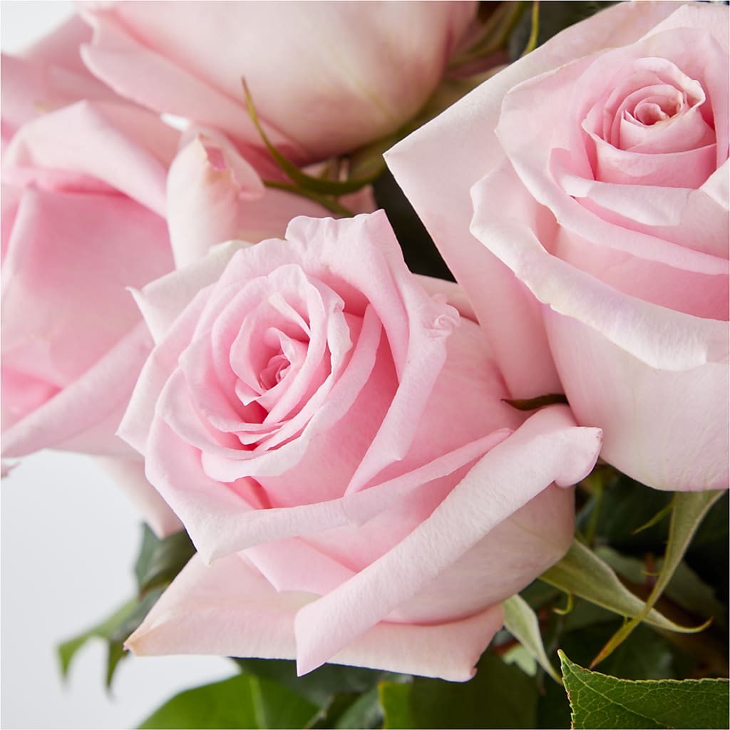 Picture Perfect Pink Rose Bouquet –  Indio Florist, Indio CA