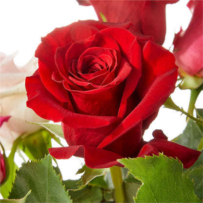 Love Notes Rose Bouquet –  Indio Florist, Indio CA