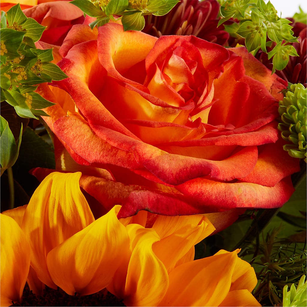 Harvest Festival Bouquet –  Indio Florist, Indio CA