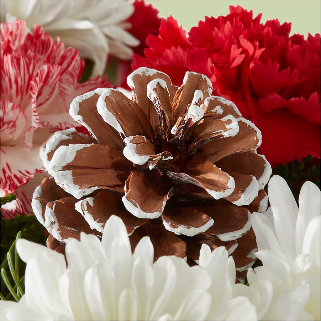 Candy Cane Lane Bouquet –  Indio Florist, Indio CA