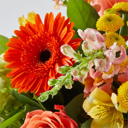 Autumn Sunshine Bouquet –  Indio Florist, Indio CA