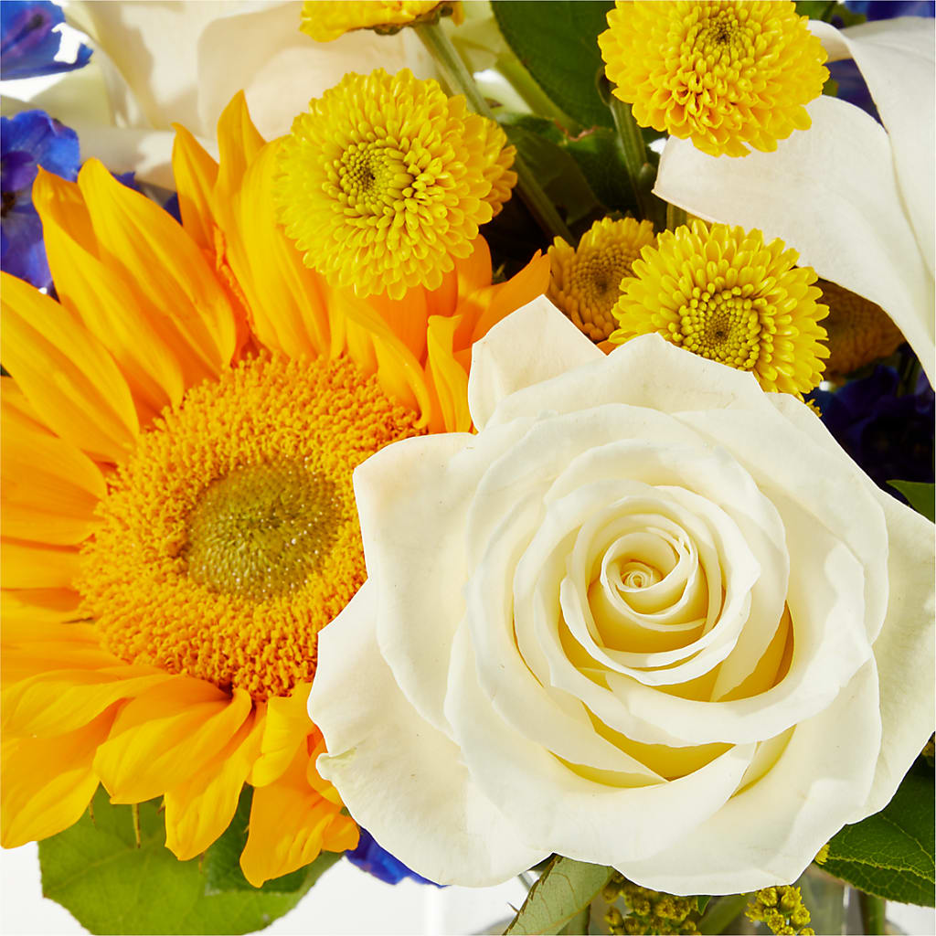Stargazing Bouquet –  Indio Florist, Indio CA