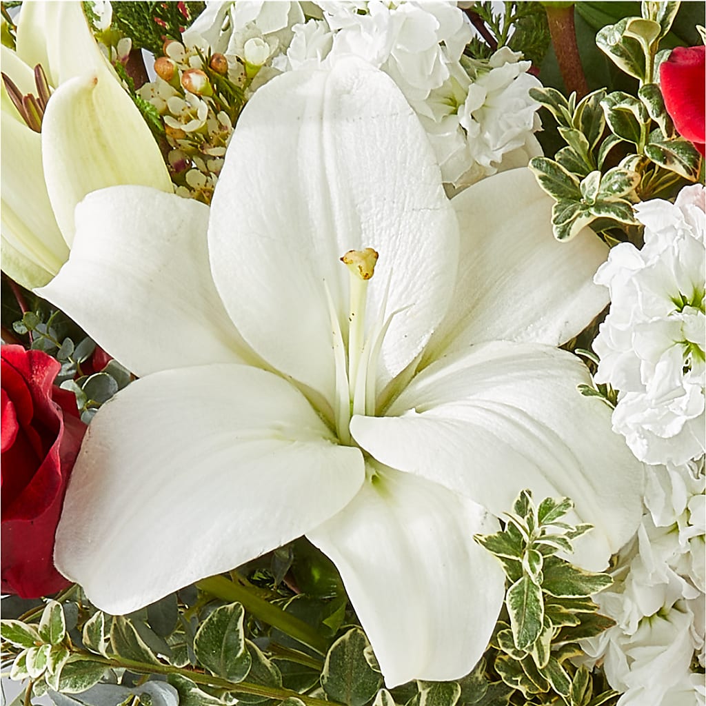 Twinkle Lights Bouquet –  Indio Florist, Indio CA