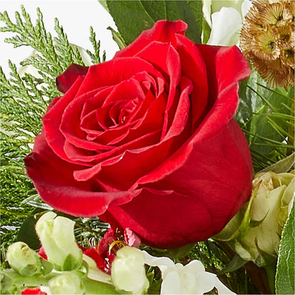 Deck the Halls Bouquet –  Indio Florist, Indio CA