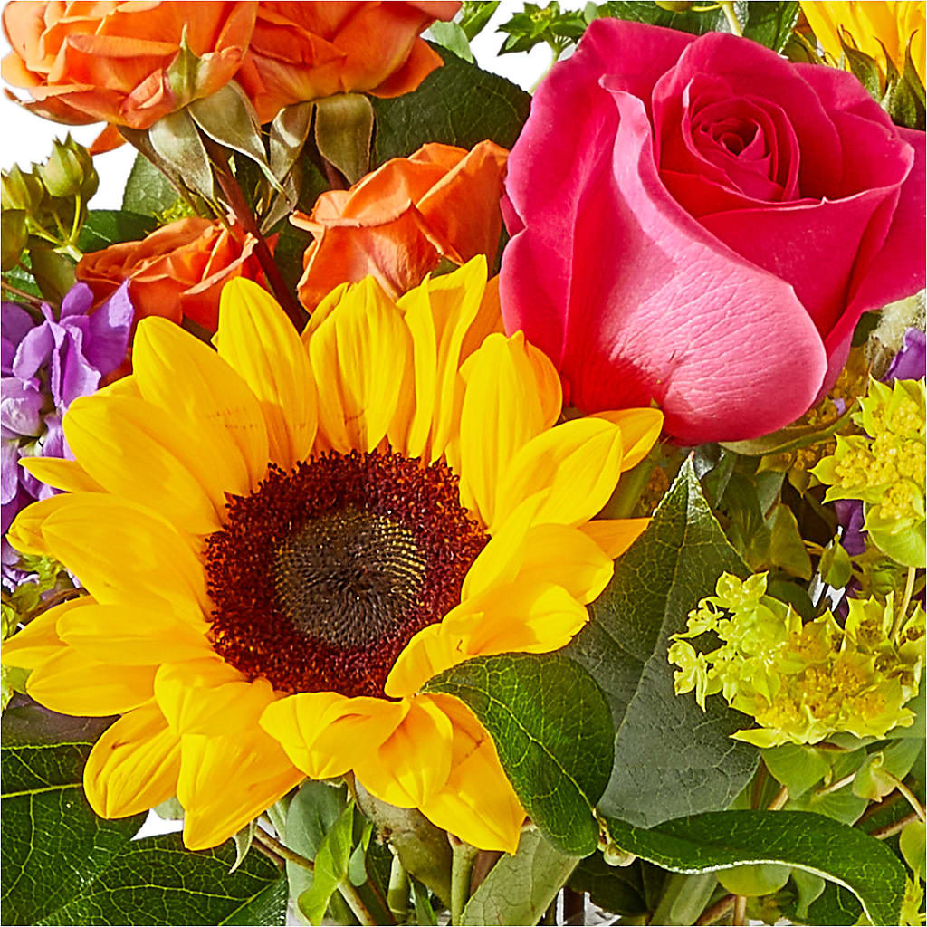 Vibrant Greetings Bouquet –  Indio Florist, Indio CA