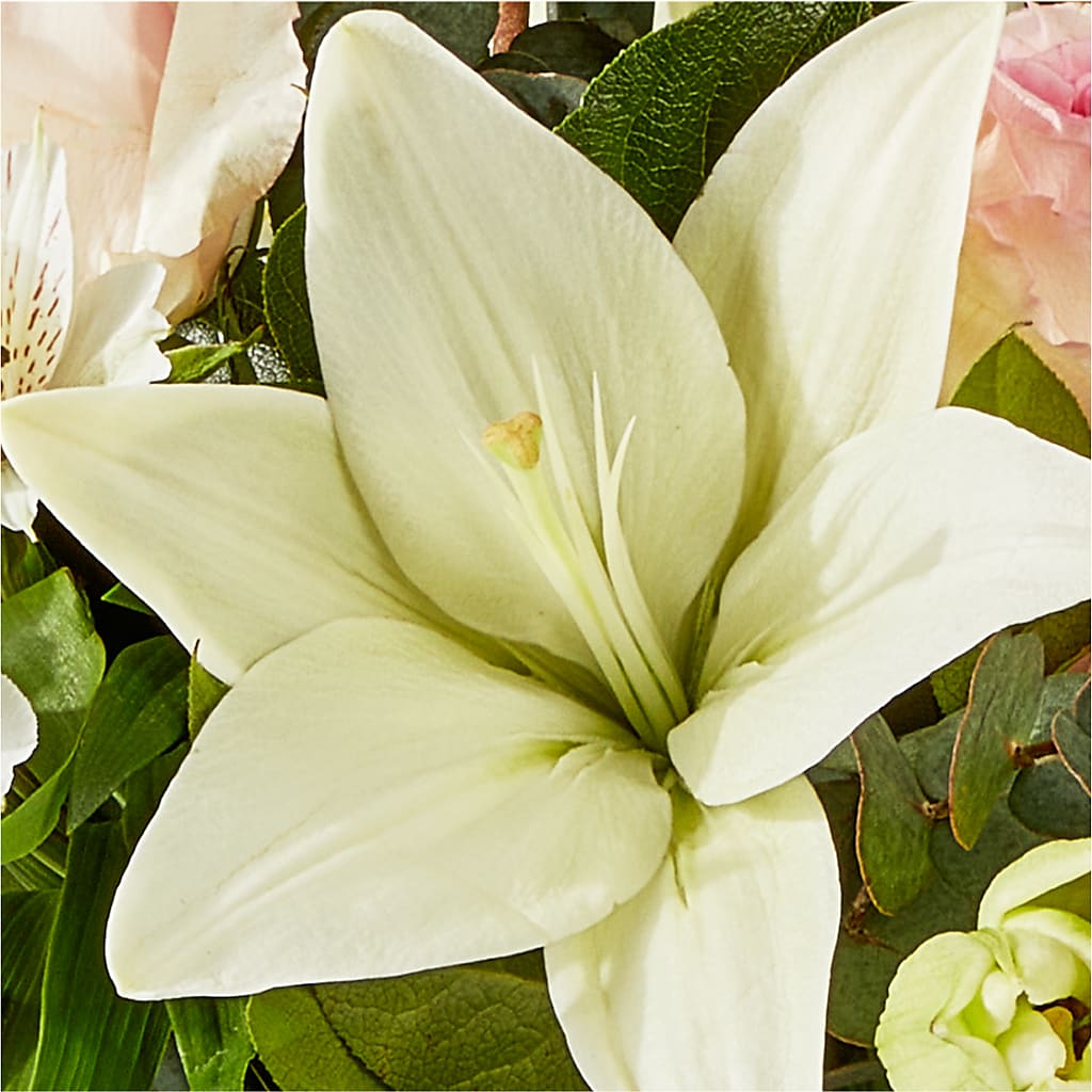 Ballet Slippers Bouquet –  Indio Florist, Indio CA