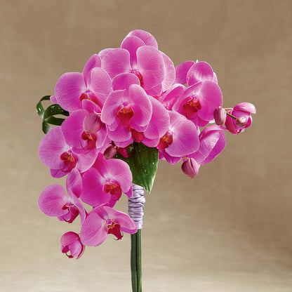 Glorious Bouquet –  Indio Florist, Indio CA