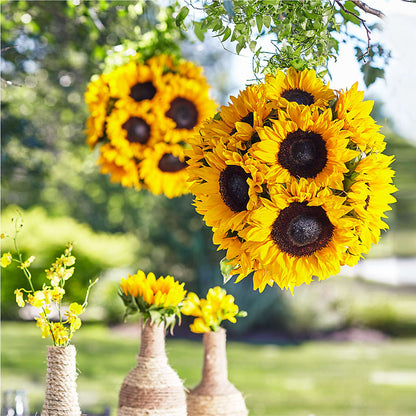 Sublime Garden Hanging Arrangement –  Indio Florist, Indio CA