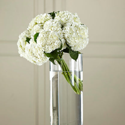 White Hydrangea Hand-Tied Bouquet –  Indio Florist, Indio CA