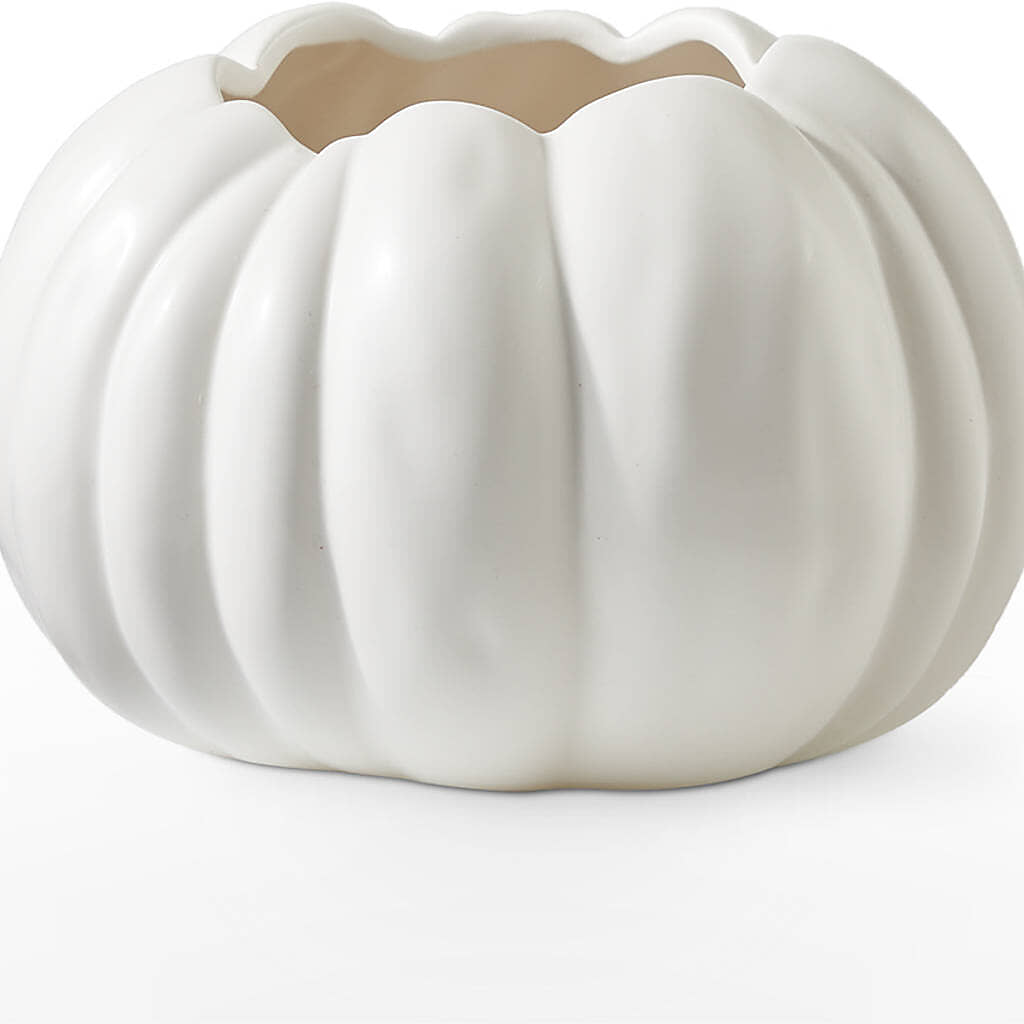 Pumpkin to Talk About Bouquet –  Indio Florist, Indio CA